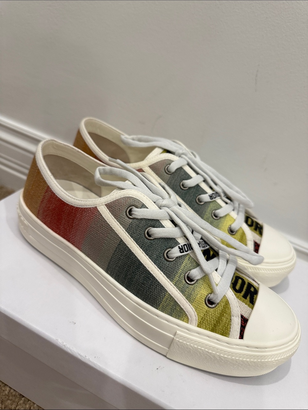 ⭐ CHRISTIAN DIOR Runway Ombre Sneakers Matching Book Tote (Shown Styled)